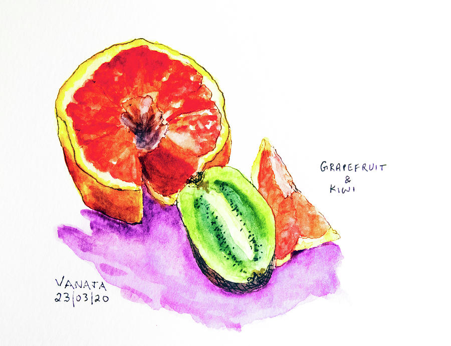 Grapefruit and Kiwi Painting by Vanajas Fine-Art