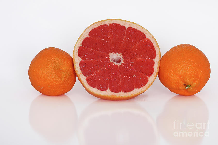 Grapefruit and Oranges 9226 Photograph by Jack Schultz