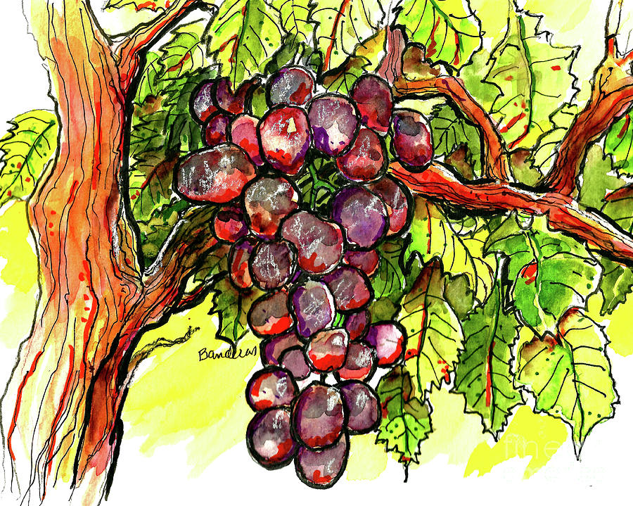 Grapes 2023 Painting by Terry Banderas
