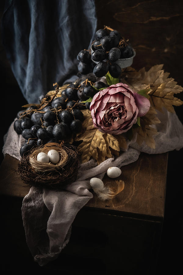 Grapes and Bird Nest Photograph by Iris Greenwell
