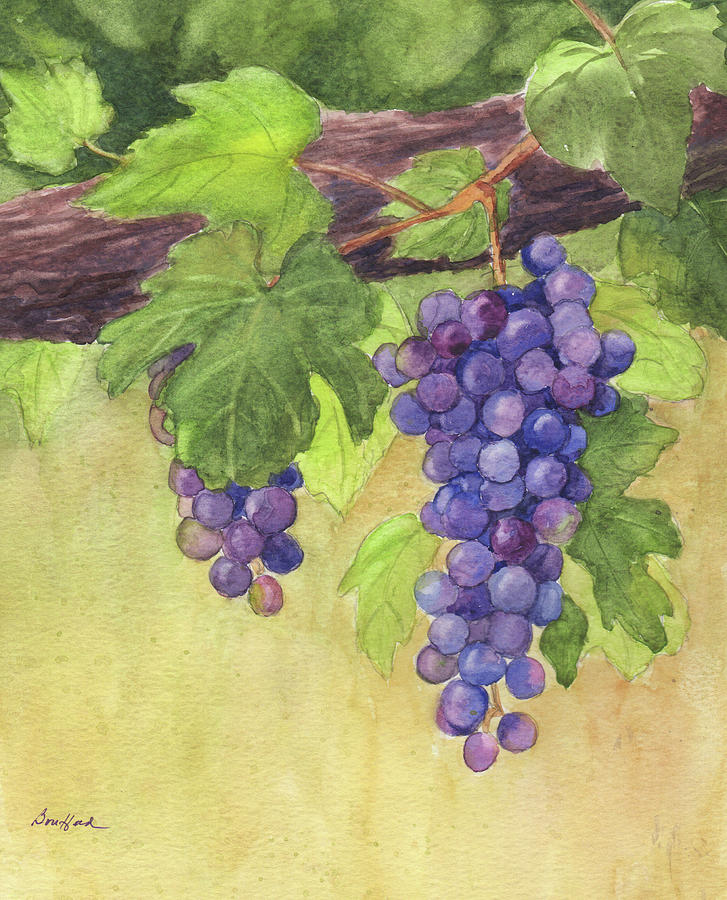Grape Painting - Grapes for Harvest by Vikki Bouffard