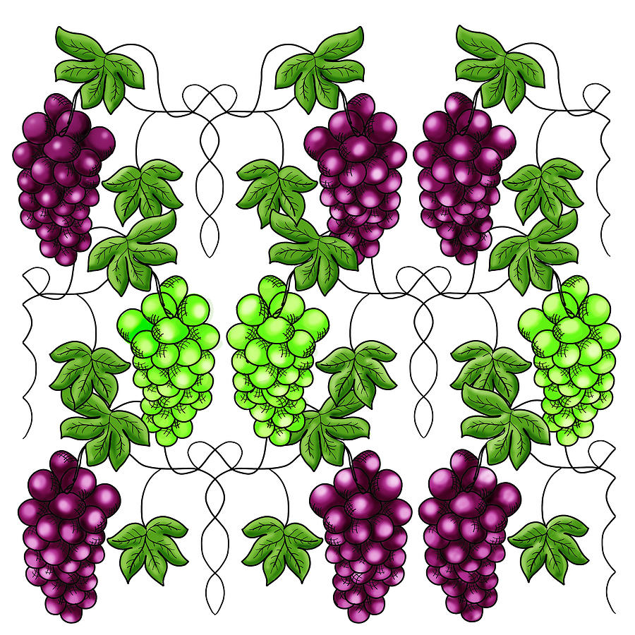 Grapes Digital Art by Gaile Griffin Peers