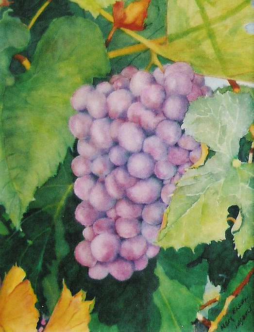 Grapes Painting by Mary Ellen Mueller Legault