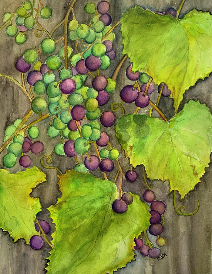 Grapes of Autumn Painting by Clara Sue Beym Grapes of Autumn Painting by Clara Sue Beym