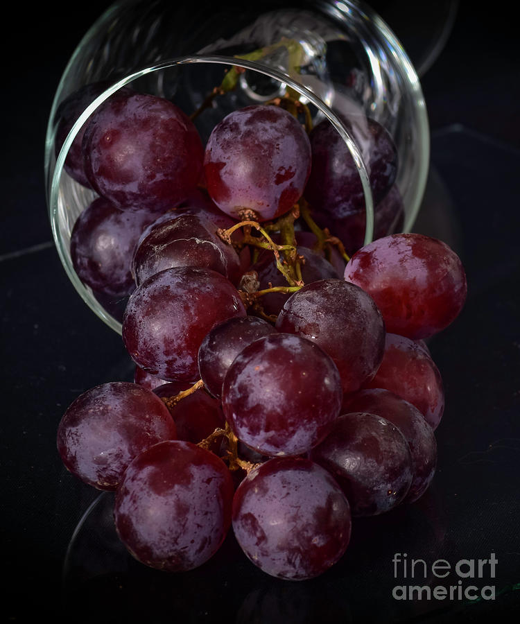 Grapes Of Darkness 02 Photograph