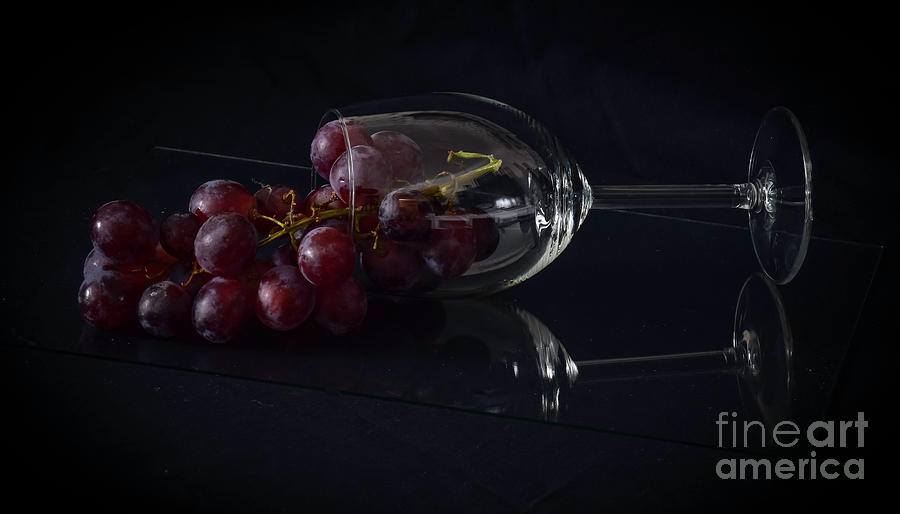 Grapes Of Darkness 03 Photograph