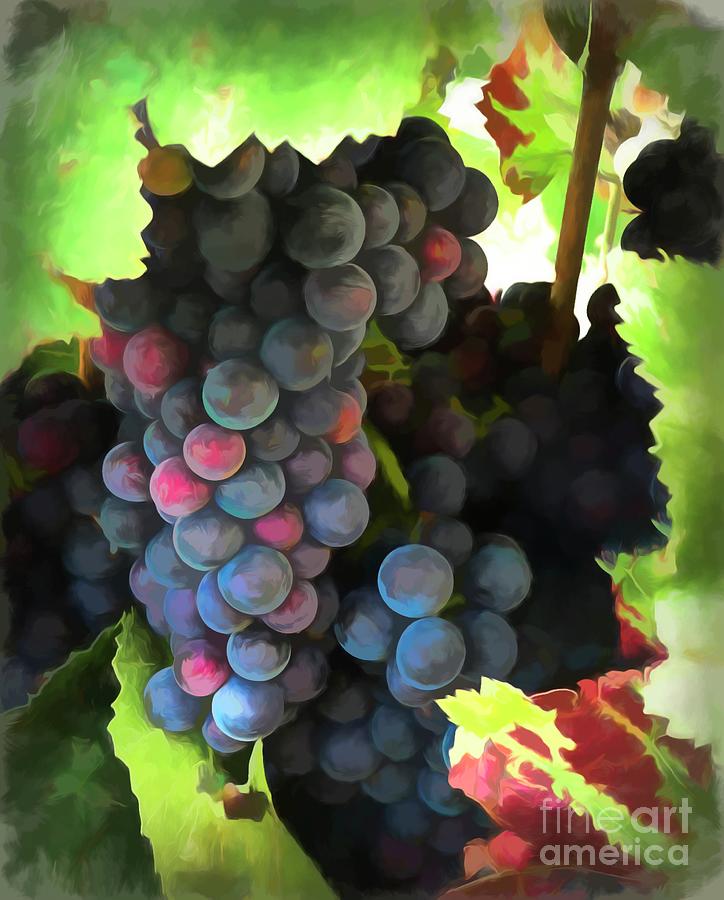 Grapes on Vines Photograph by Luther Fine Art