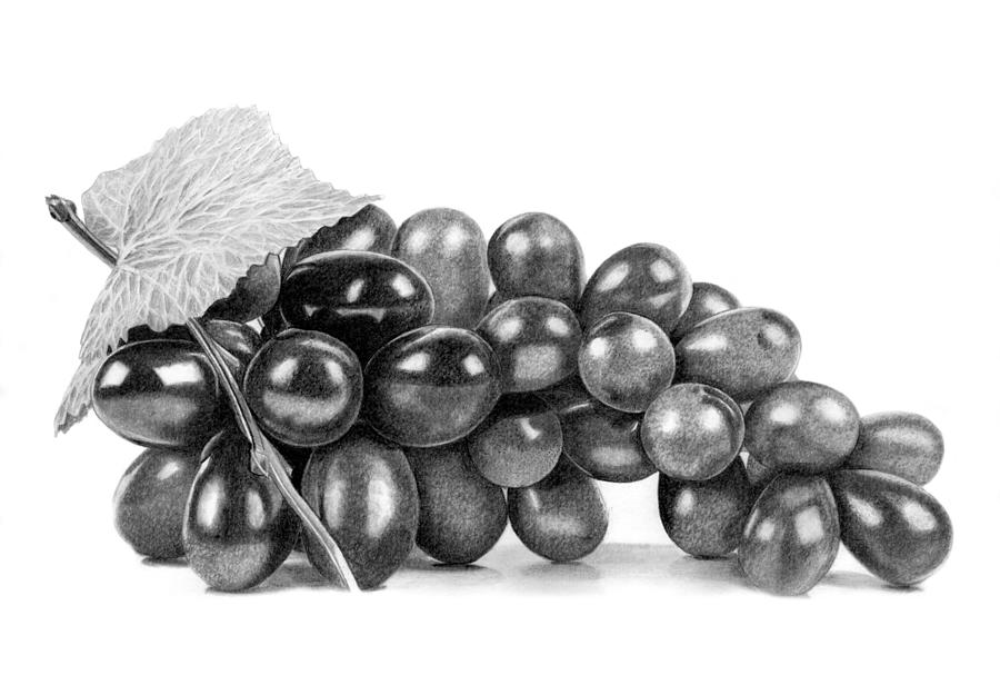 Grapes Drawing by Paul Stowe - Fine Art America