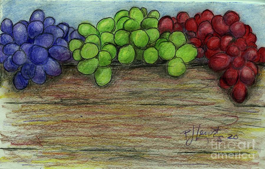 Grapes Drawing by PJ Lewis