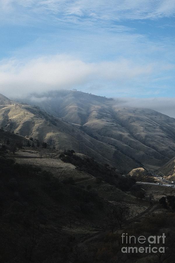 Grapevine along Tejon Pass California Photograph by Adrian Sierkowski Fine Art America