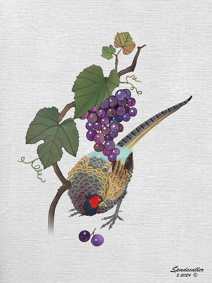 Grapevine and Pheasant  Digital Art by Spadecaller