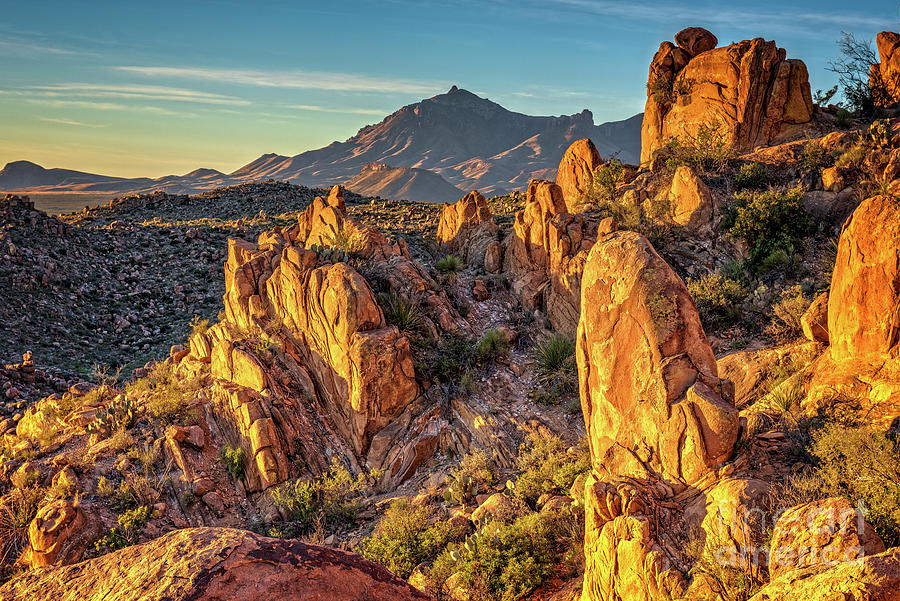 Grapevine Hills Photograph by Charles Dobbs