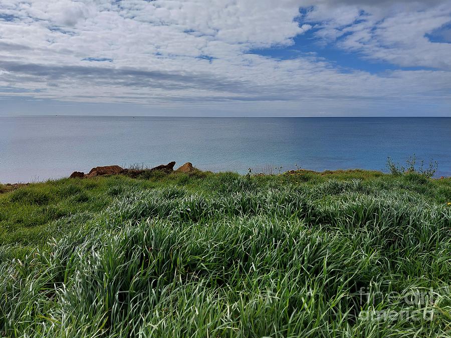 Grass above cliffs in Praia da Luz Photograph by Chani Demuijlder