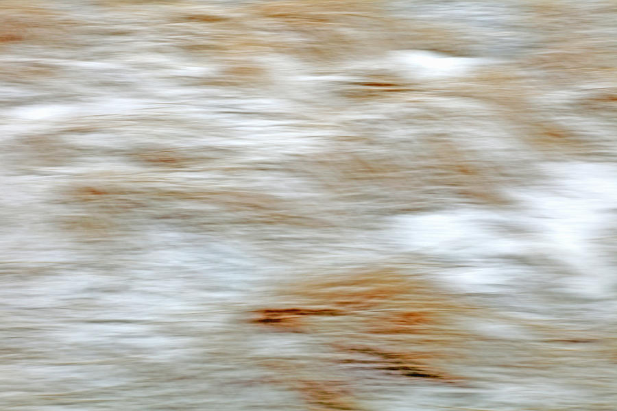Grass And Snow In Winter (blurred) Photograph by Rainer Grosskopf
