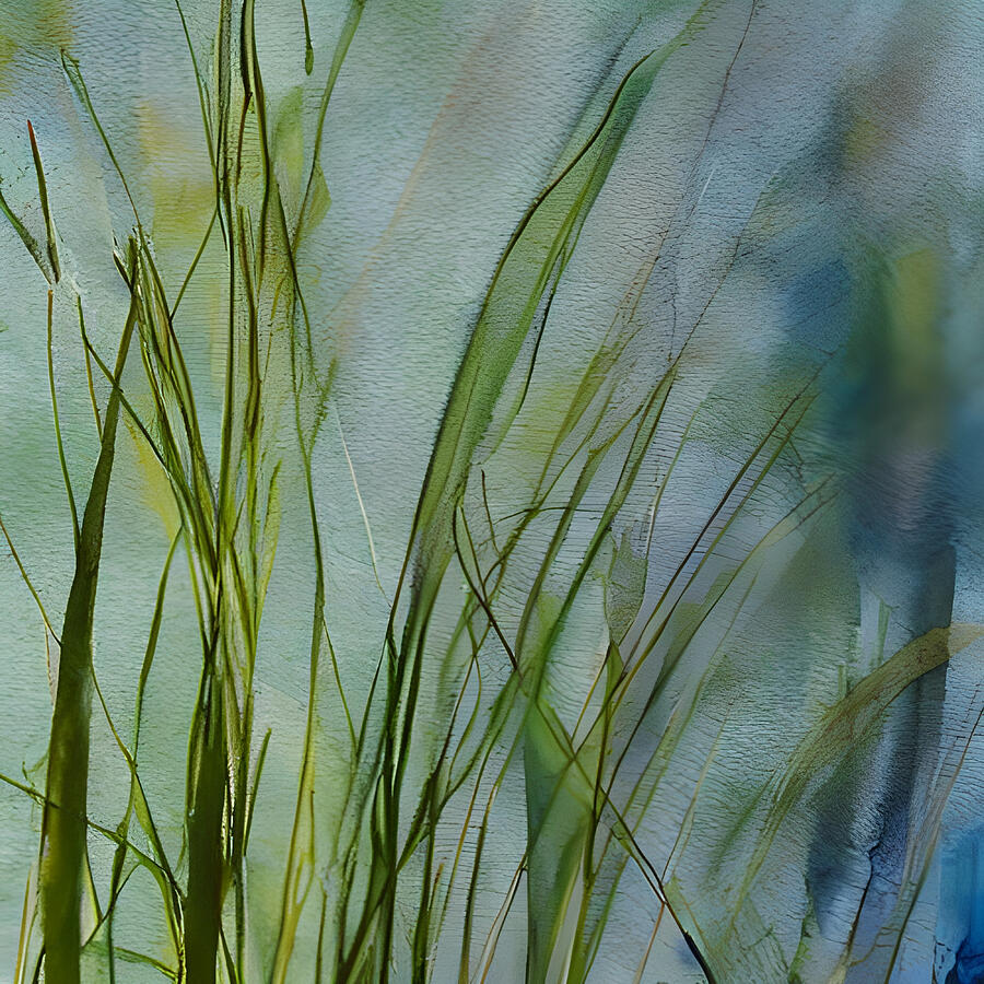 Grass Blades Photograph by Amalia Suruceanu