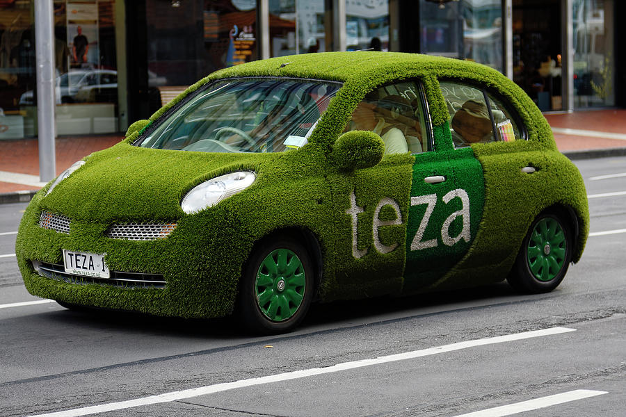 Grass Covered Car Photograph by Sally Weigand