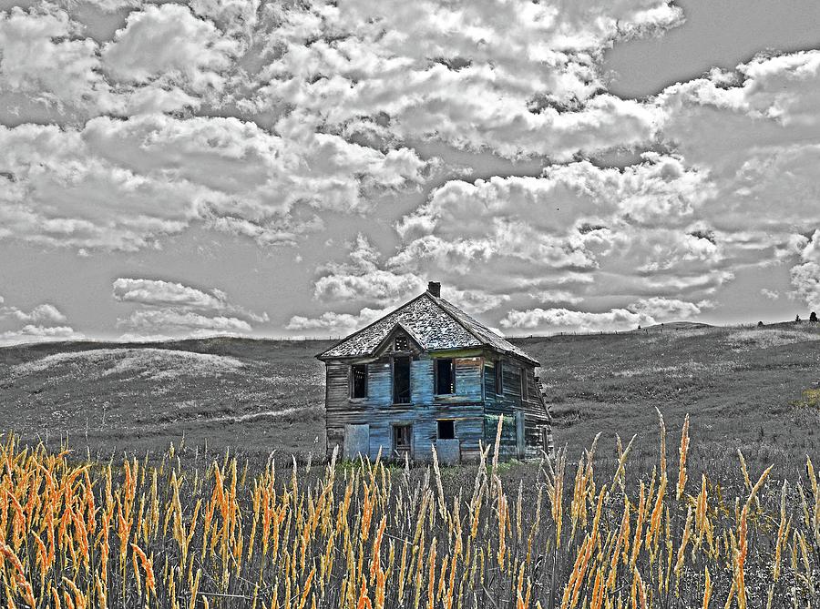 Grass Land Homestead  Digital Art by Fred Loring