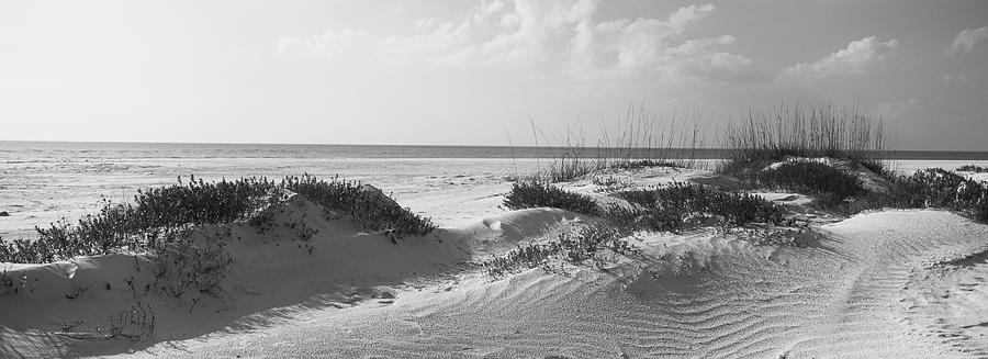 Grass on the beach, Lido Beach, Lido Key, Sarasota, Florida, USA Photograph by Panoramic Images