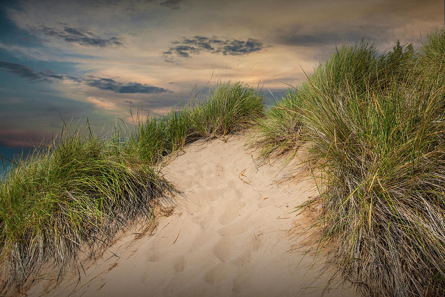 Grass on the Dune at the Beach at Kirk Park Photograph by Randall Nyhof