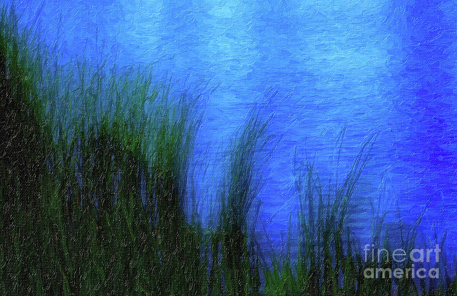 Grass Reeds On Pond Painting By Elaine Manley Fine Art America