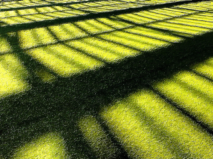 Grass Shade Sun Abstract Suburb Painting by Tony Rubino