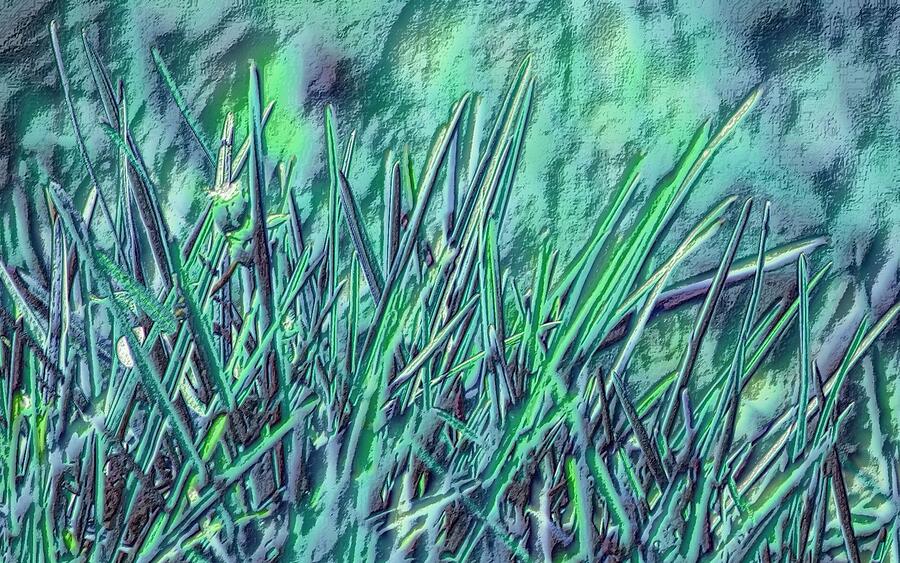 Grass Painting by Sonja Kraft Grass Painting by Sonja Kraft