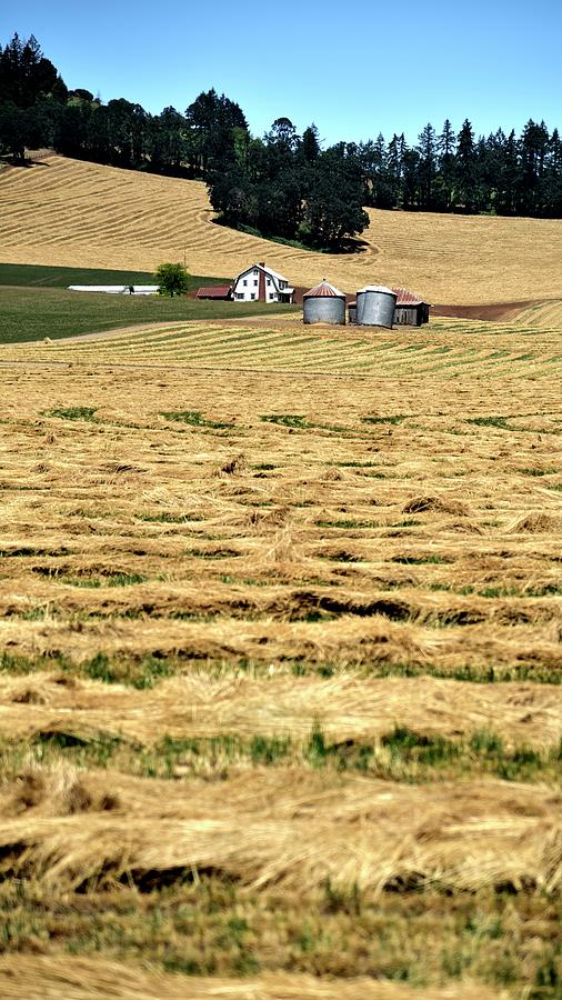 Grass Windrows and Homestead Photograph by Jerry Sodorff