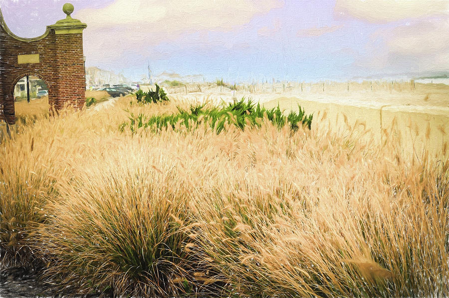 Grasses on the Beach Digital Art by Melinda Dreyer