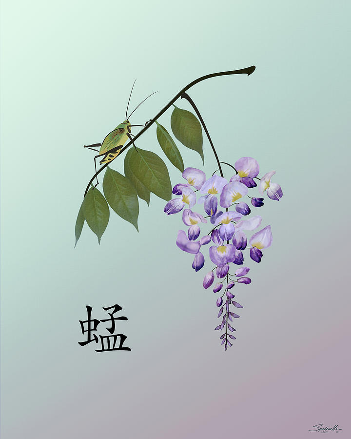 Grasshopper and Wisteria Digital Art by M Spadecaller