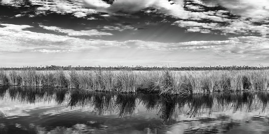 Grassland Big Cypress Photograph by Rudy Wilms