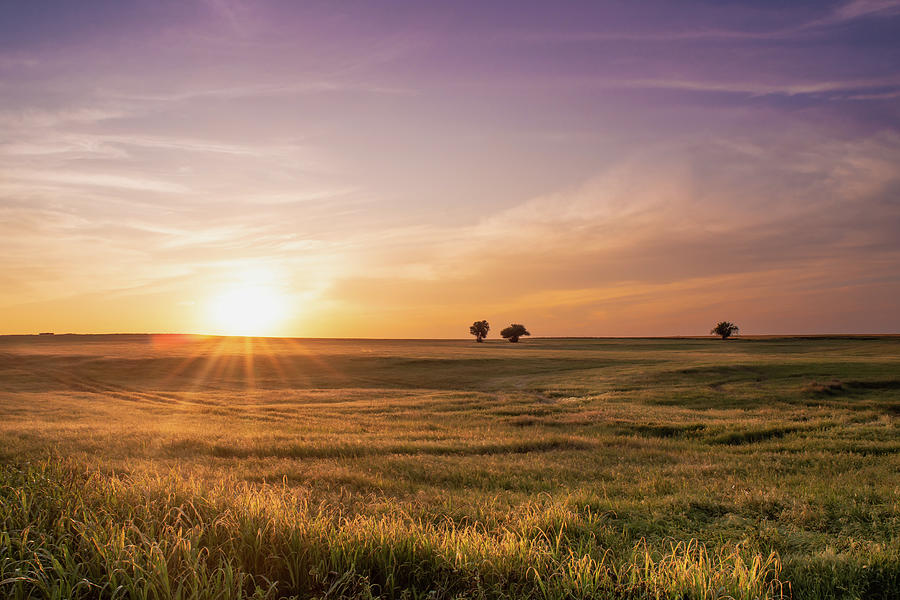 Grassland Sunset Photograph by Hillis Creative