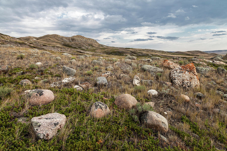 Grassland's National Park Photograph by Rick Pisio - Pixels