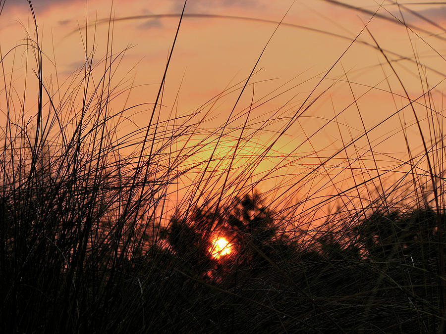 Grassy Beach Sunset Photograph by Carolyn Marshall