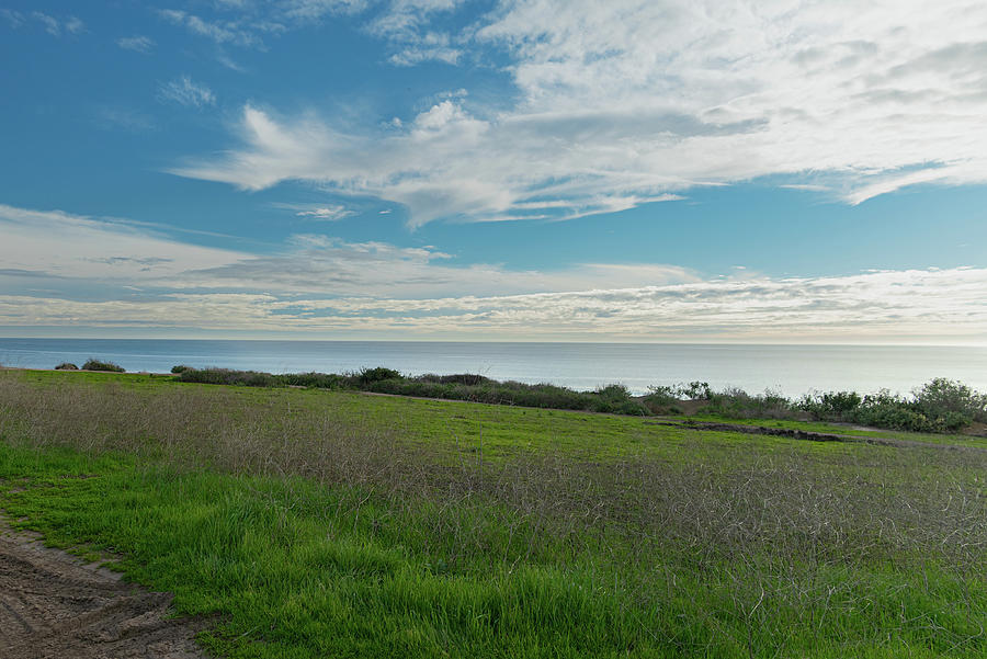 Grassy Field Overlooking the Pacific Ocean Photograph by Matthew DeGrushe