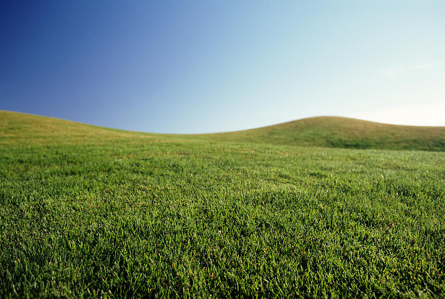 Grassy hillside Photograph by Getty Images