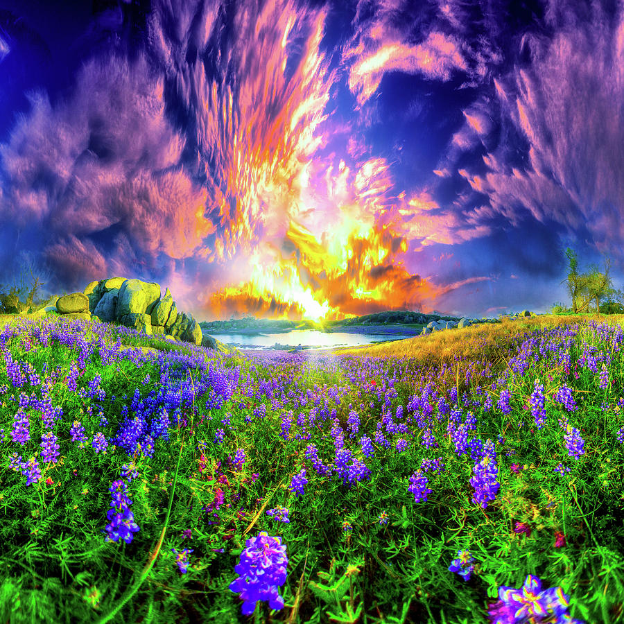 Grassy Meadow Purple Wildflowers Sunset Photograph by Eszra Tanner