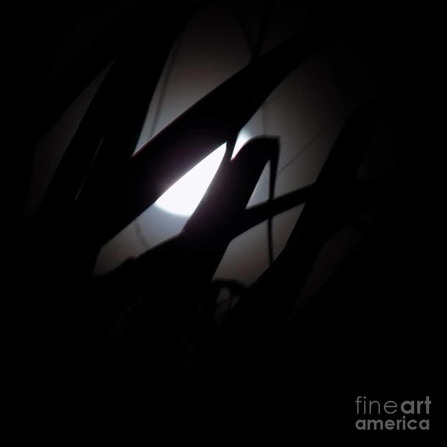 Grassy Moon Photograph by Joshua Schroeder