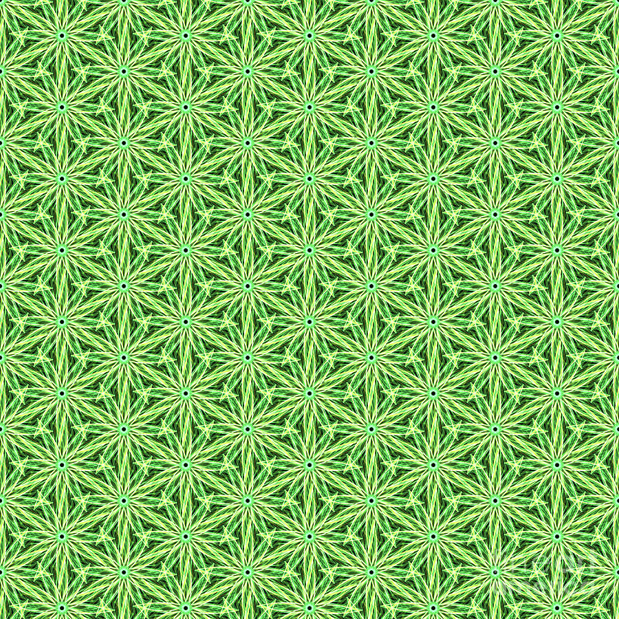 Pattern Digital Art - Grassy pattern by Gaspar Avila