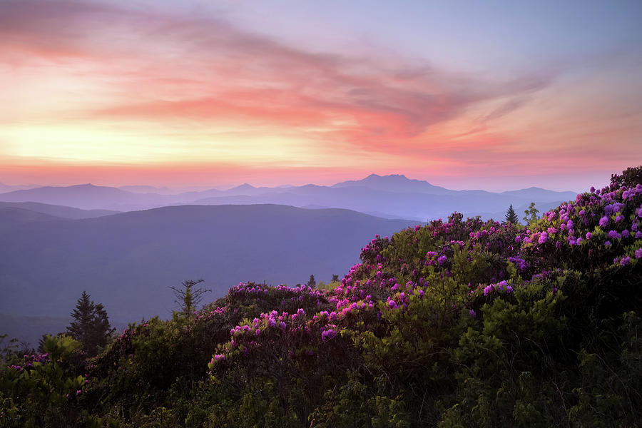 Grassy Ridge, Roan Mountain, Appalachian Trail Photograph by Tommy White