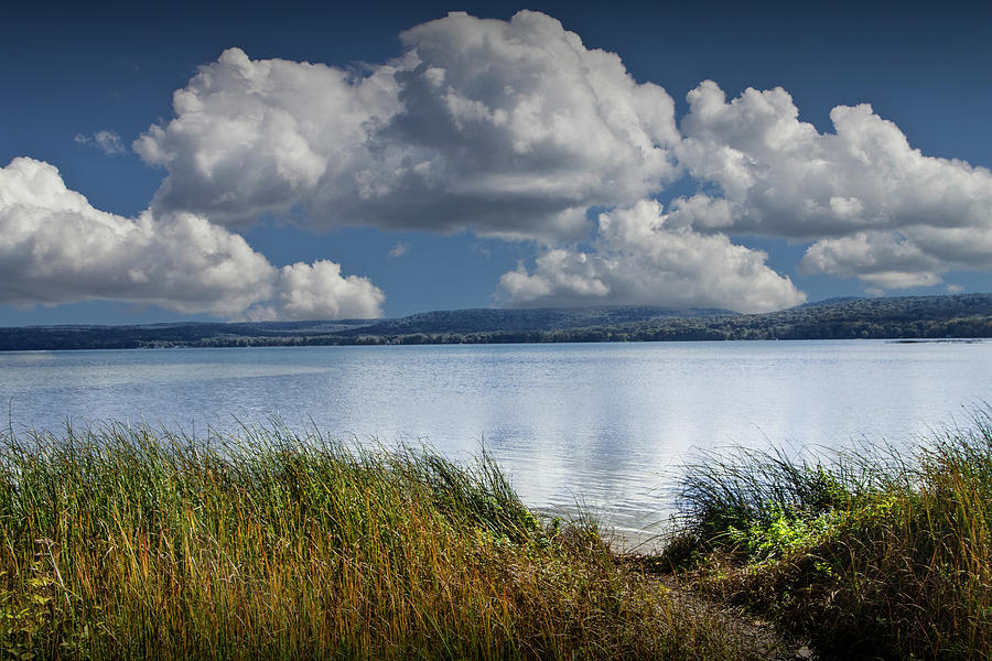 Grassy Shore on Glen Lake with Cloudy Blue Sky Photograph by Randall Nyhof