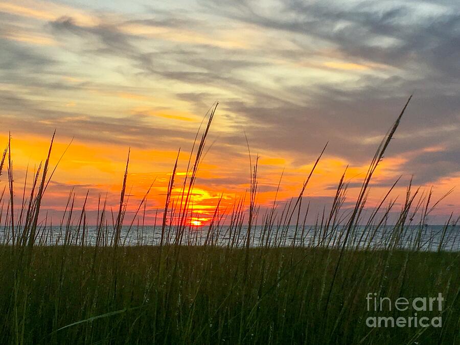 Sunset Photograph - Grassy Sunset by Saving Memories By Making Memories