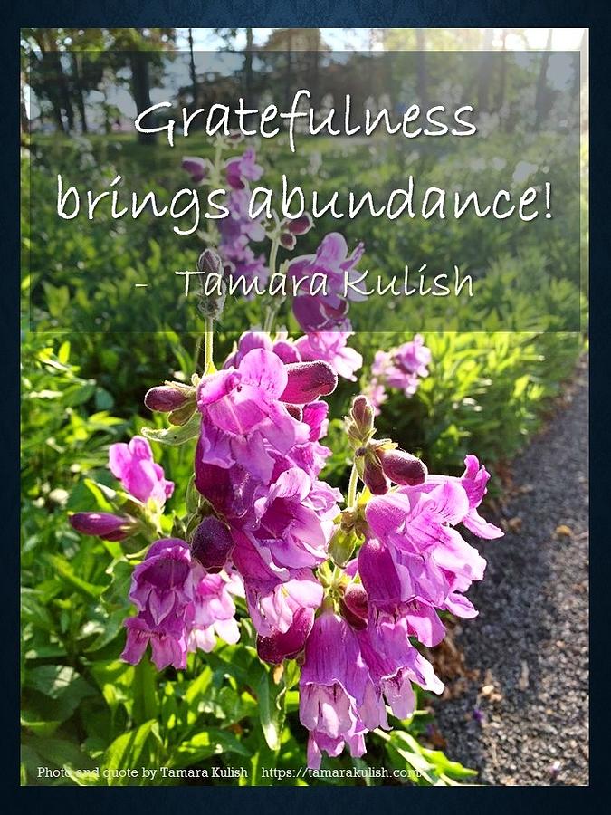 Gratefulness brings Abundance Photograph by Tamara Kulish