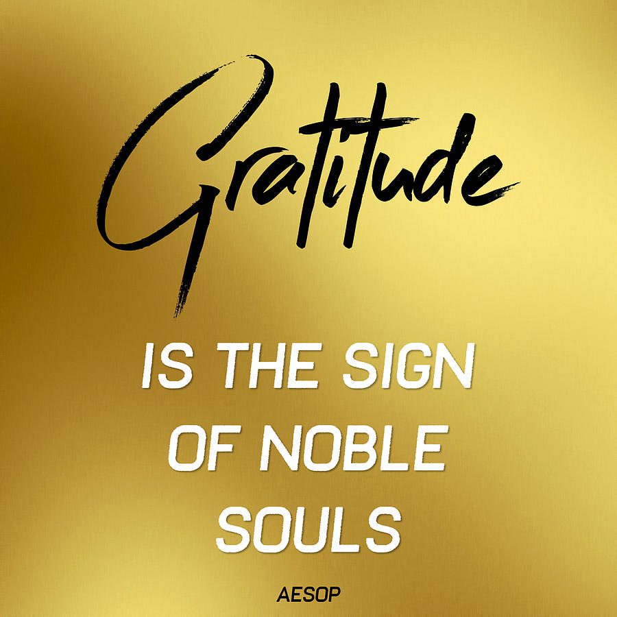 Gratitude is the sign of noble souls Inspirational Aesop Quote Digital Art by Matthias Hauser