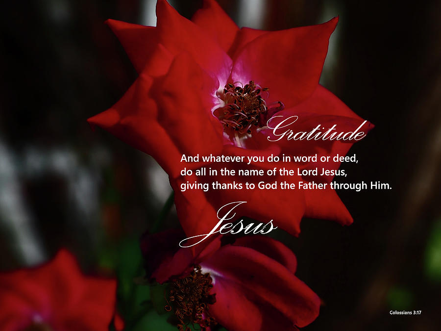Gratitude, Jesus, Photograph by Dennis Burton - Fine Art America