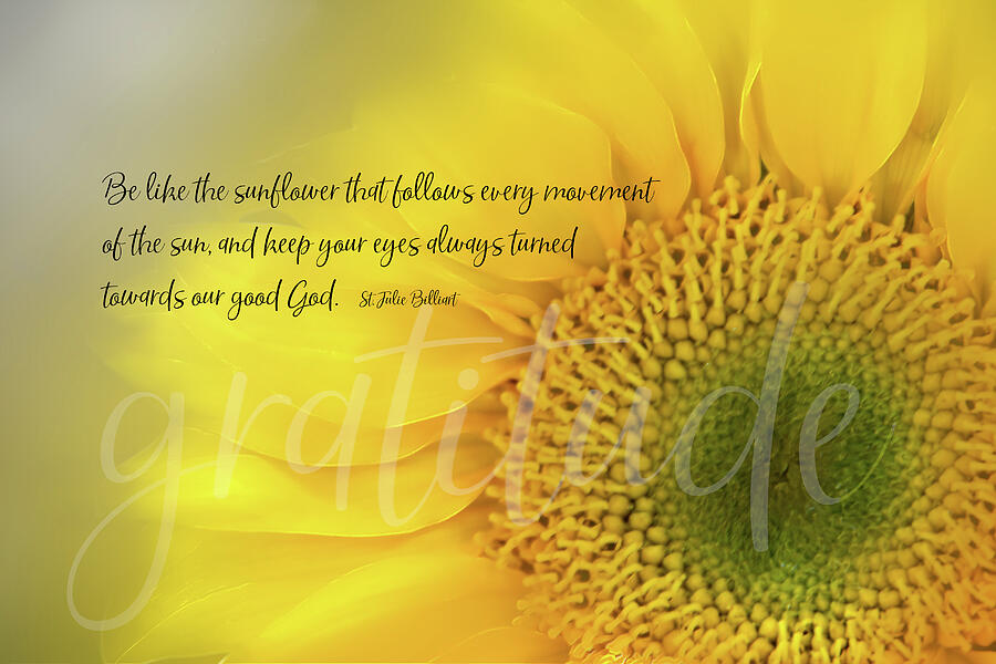 Sunflower Digital Art - Gratitude Sunflower by Terry Davis