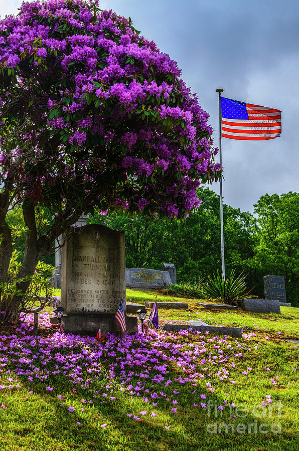 Grave of One Who Gave All Photograph by Thomas R Fletcher