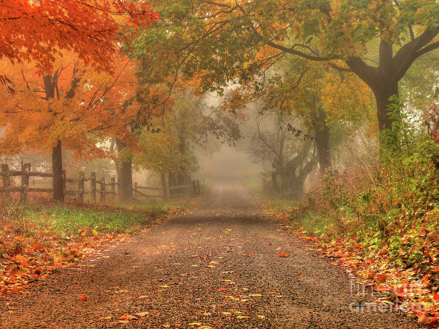 Fall Digital Art - Gravel Road, Autumn by Bryan Katz