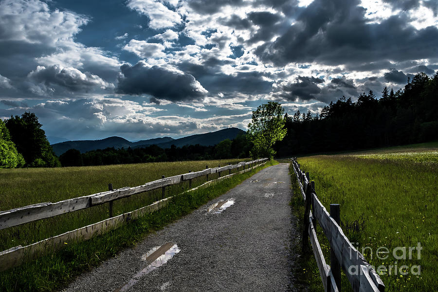 Gravel Road With Wooden Fence In Rural Landscape At Rainy Weather In Austria Photograph by Andreas Berthold