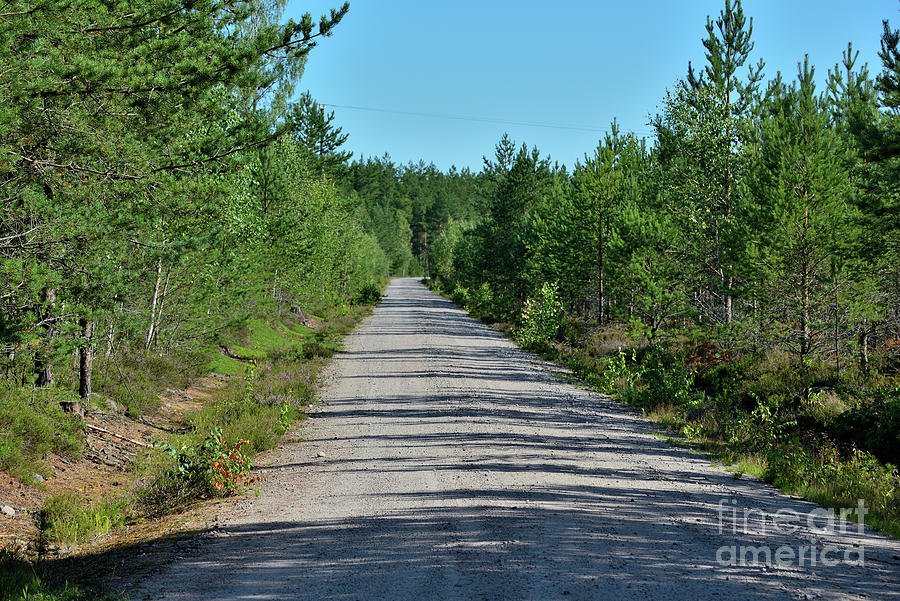 Graveled road Photograph by Esko Lindell - Fine Art America