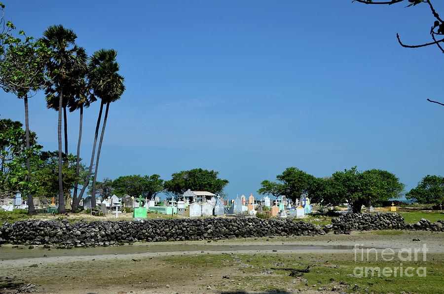 Tree Photograph - Graves with crosses at Christian cemetery graveyard on Delft island Jaffna Sri Lanka  by Imran Ahmed